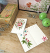 Floral Stencils Set - Diy Herbs and Insects Stencils Kit - Stencils Kit - StencilsLab Wall Stencils